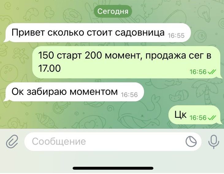 скрин.jpg