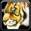 Tiger_Co