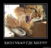 КоттеР